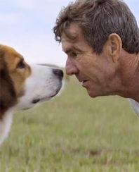 The Complex and Chaotic Nature of Companionship: Our Review of ‘A Dog’s Purpose’