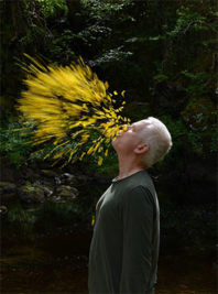 ‘Effortless Pretension’: Our Review of ‘Leaning Into The Wind: Andy Goldsworthy’