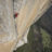 Just Keep Climbing: Our Review Of ‘Free Solo’