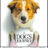 CANADA!!! WIN DOUBLE PASSES TO AN ADVANCE SCREENING OF ‘A DOG’S JOURNEY’!!!