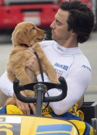 A Dog Movie for The Dog Days: Our Review of ‘The Art of Racing in the Rain.’