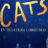 HEY CANADA!!! WIN DOUBLE PASSES TO AN ADVANCE SCREENING OF ‘CATS’!!!
