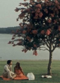 A Forgotten Summer Romance: Our Review of ‘Cane River’
