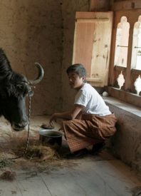On Preparation: Our Review of ‘Lunana: A Yak in the Classroom’