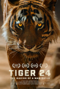 WIN APPLE TV DOWNLOAD CODES FOR ‘TIGER 24: THE MAKING OF A MANEATER’!!!!