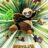 It’s IP, It’s Not a Movie: Our Review of ‘Kung Fu Panda 4’