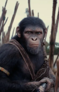 Smart Spectacle: Our Review of ‘Kingdom of the Planet of the Apes’