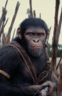 Smart Spectacle: Our Review of ‘Kingdom of the Planet of the Apes’ Smart Spectacle: Our Review of ‘Kingdom of the Planet of the Apes’