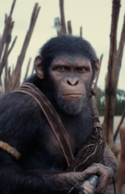 Smart Spectacle: Our Review of ‘Kingdom of the Planet of the Apes’
