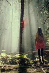 Fantasia 2024: Our Review of ‘Krytpic’