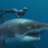 Control: Our Review of ‘Shark Whisperer’ on Netflix