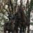 Buildup: Our Review of ‘Untamed’ on Netflix Buildup: Our Review of ‘Untamed’ on Netflix