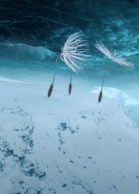 TIFF 2025: Our Review of ‘Dandelion’s Odyssey’