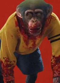 Cujo Redux: Our Review of ‘Primate’