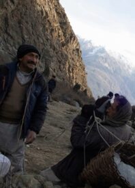Hot Docs 2026: Our Review of the True North Shorts Program