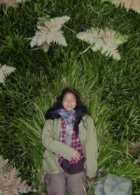 TIFF 2026: Our Review of ‘Four Seasons in Java’