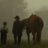 A Family’s Land: Our Review of ‘A Breed Apart’